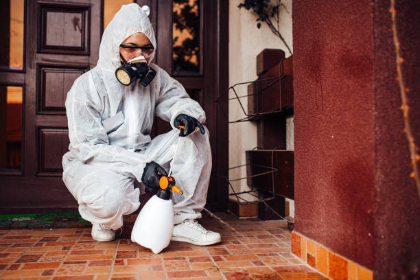 Reliable Cockroach Control contractor in Lake Alfred, FL by Nex Pest Control